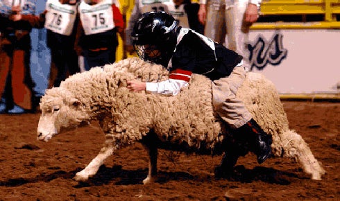 National Western Stock Show Seating Chart