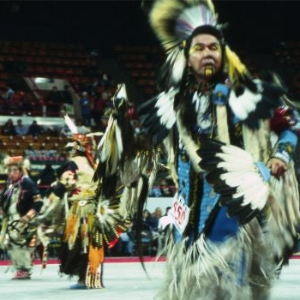 Denver March Powwow - 1x1